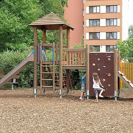 Mini Akord 3*
